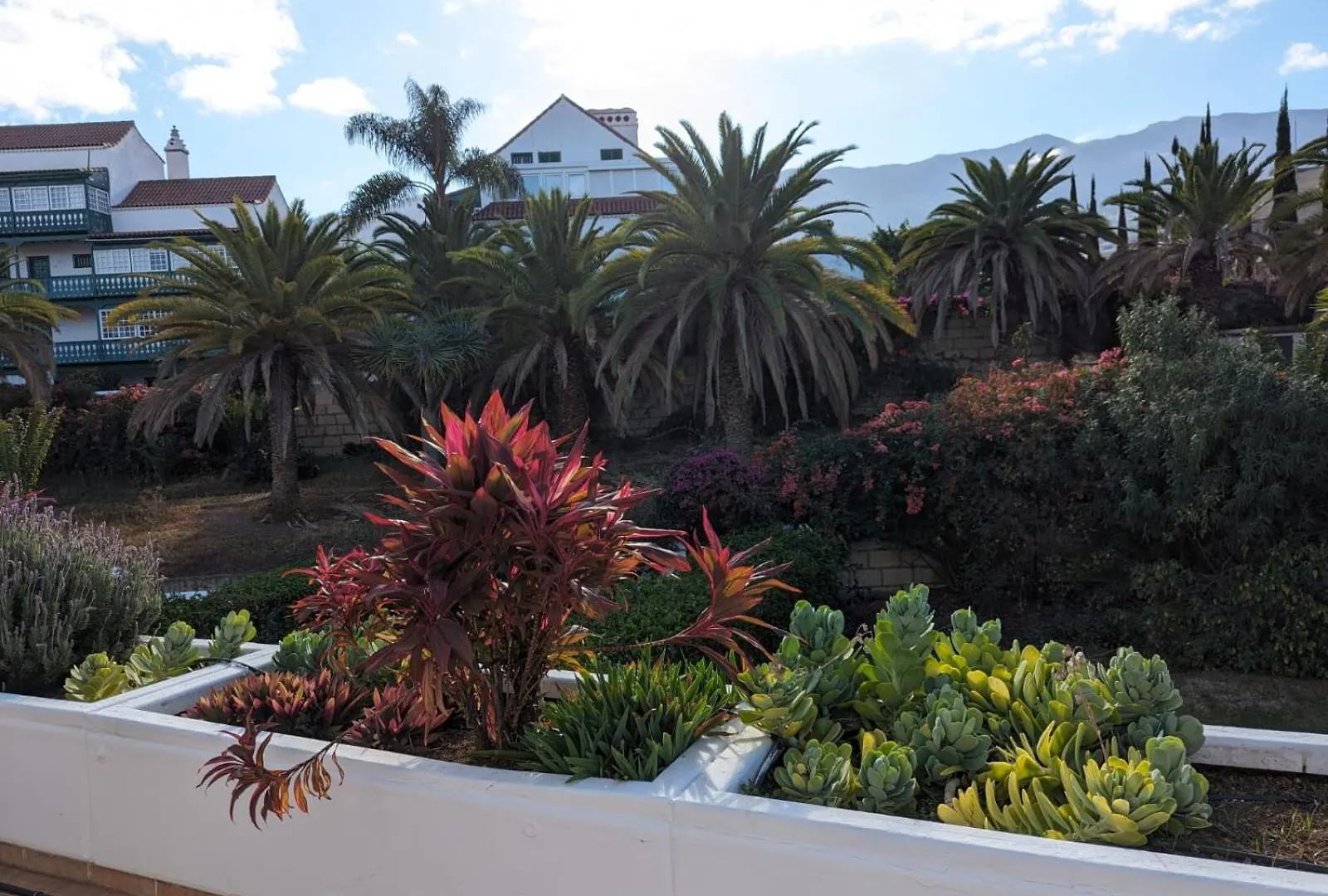 Schicke Ferienwohnung In La Paz, Puerto De La Cruz Daire